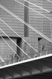 Erasmus bridge with skyscrapers in the background