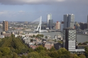 Erasmus bridge with skyscrapers in the background