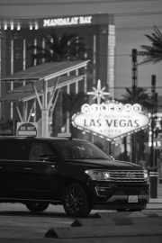 Expedition Limited MAX in Las Vegas