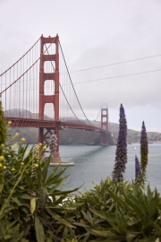 Golden Gate Bridge