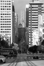 Streets of San Francisco